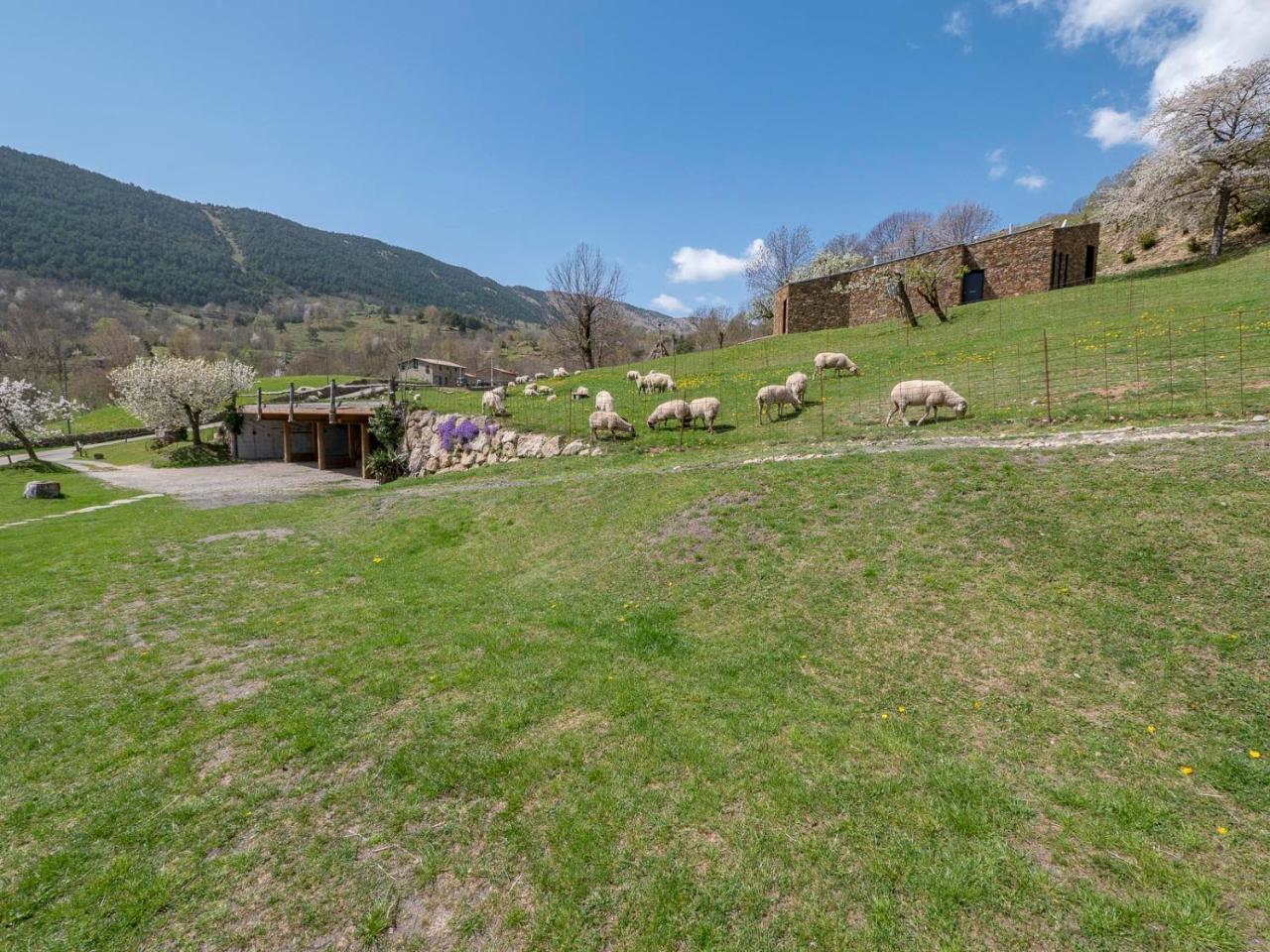 Can Gallo Льянарс Экстерьер фото